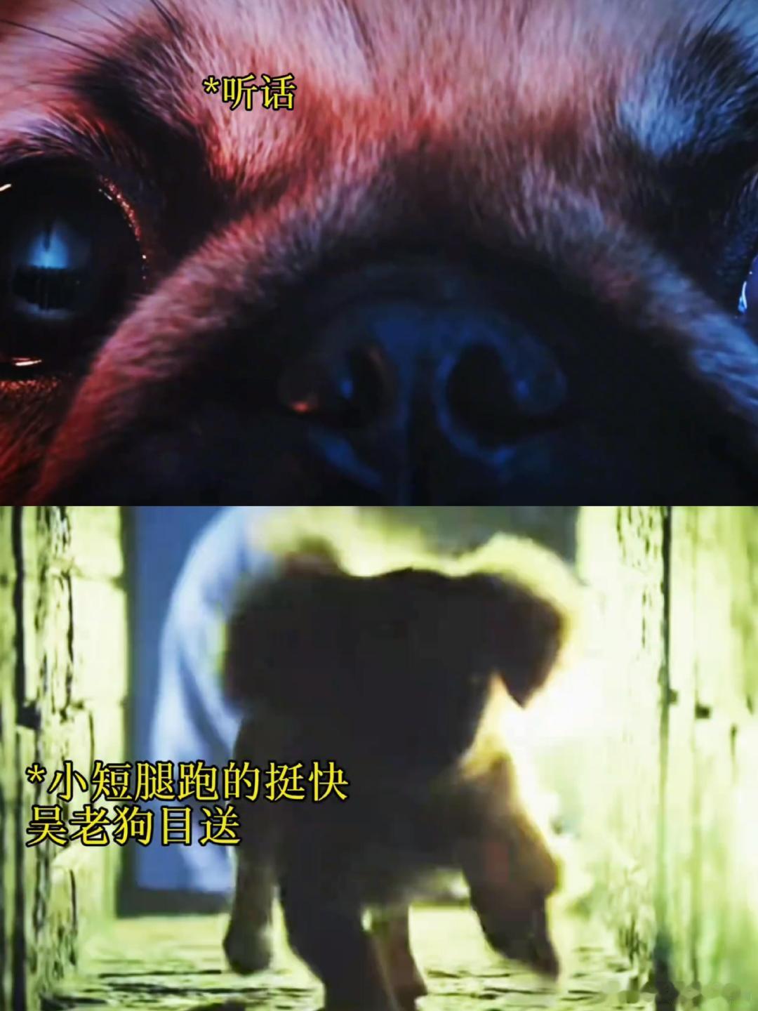 最支持影视剧使用ai的一段？？这股聪明劲儿，你告诉我是AI？ 