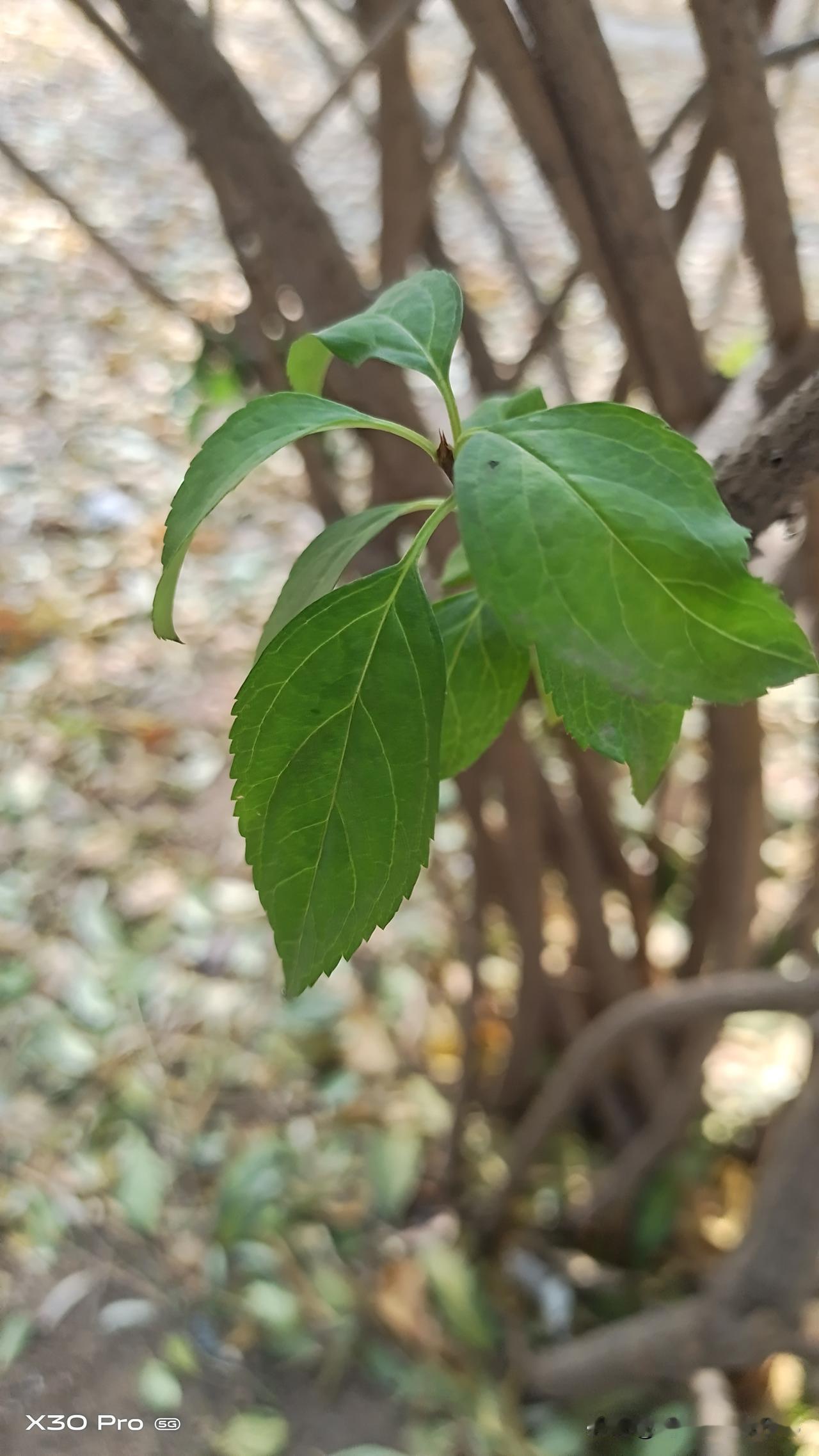 如果按老话讲“嫁汉嫁汉穿衣吃饭”
女人这辈子应该靠男人才对。

  可是还有一句