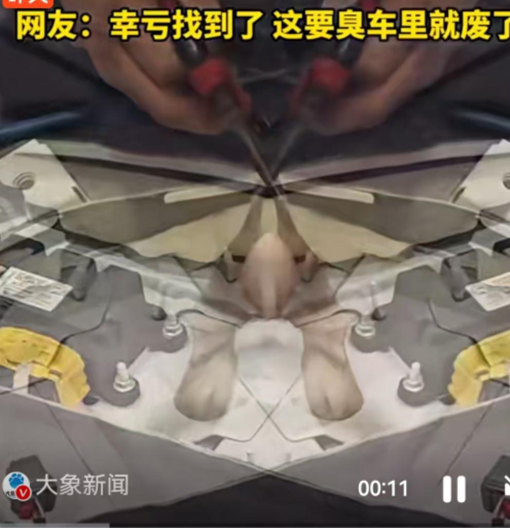 这几天，山东的一位车主算是彻底体验了一把什么叫“人在车中坐，祸从海上来”。
事情