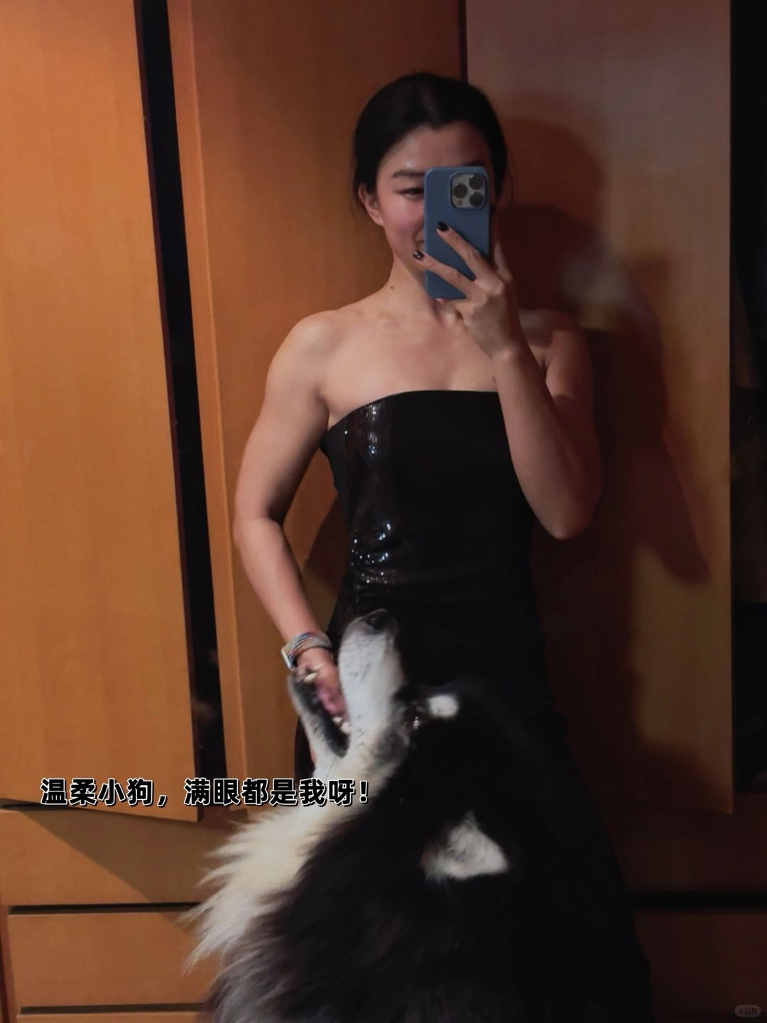 我的小狗宝好温柔呀