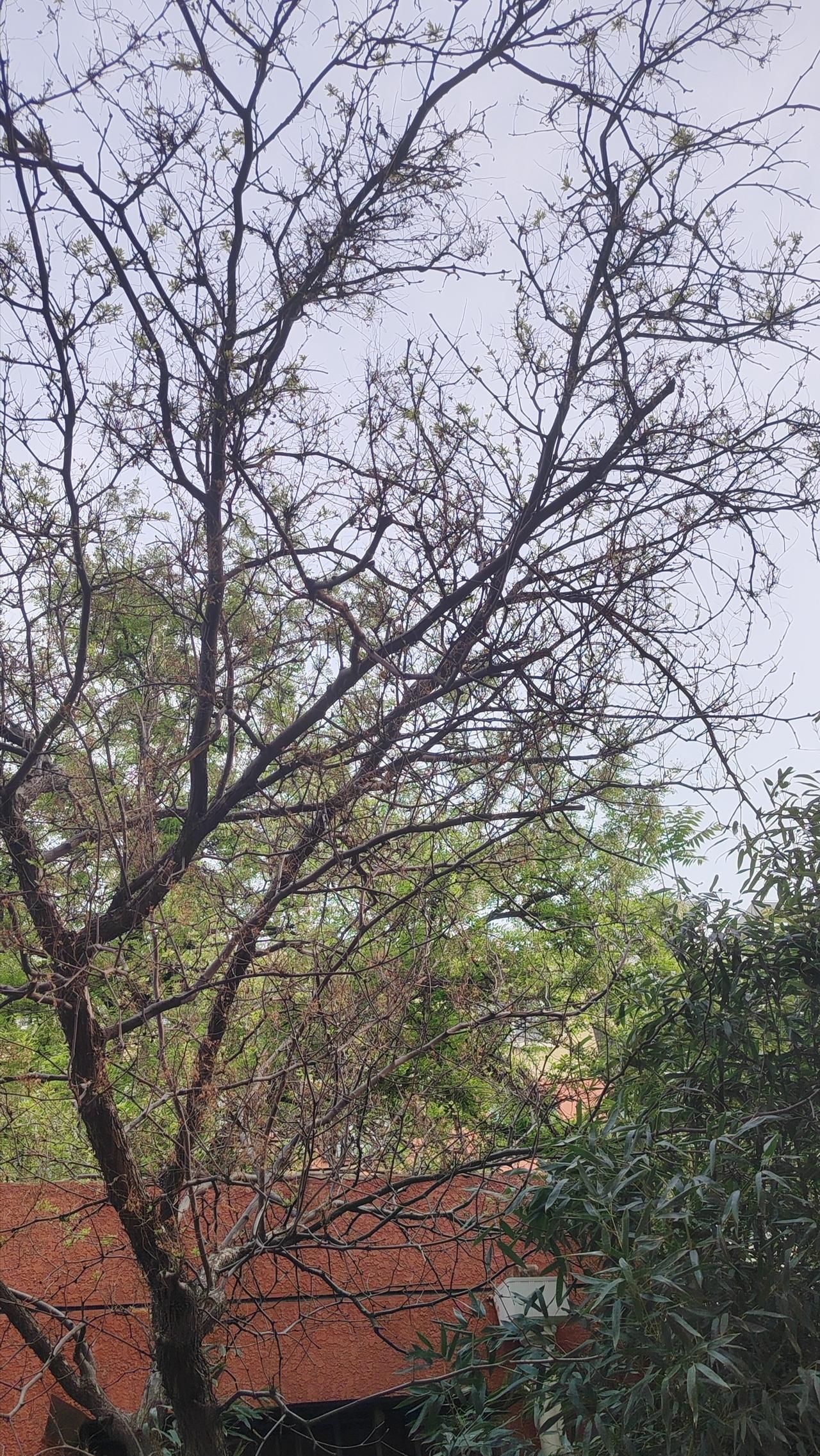 晒图笔记大赛破心中贼，方能破局：一位登山者在攀登珠峰时，被“我做不到”的念头所困