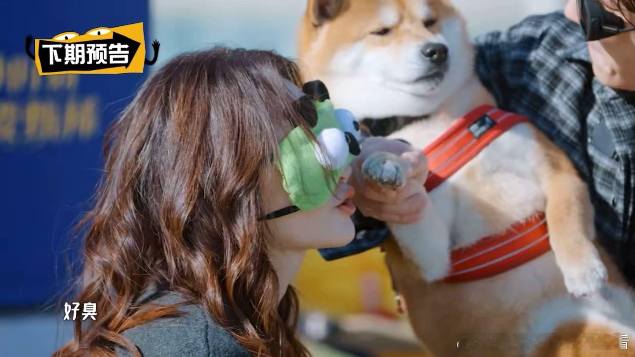 五哈下期有李小冉李小冉五哈预告哈哈哈哈哈 李小冉要来五哈了！还带着自家狗狗钢镚。