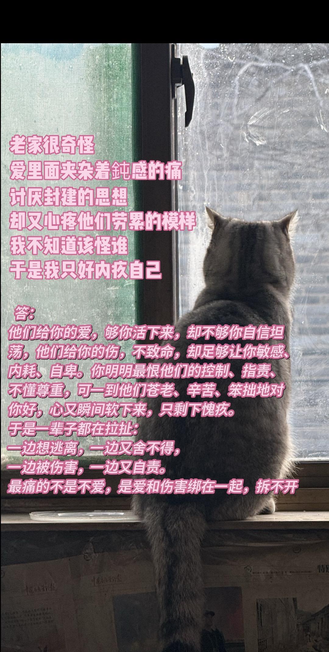 农村生活 生活碎片记录