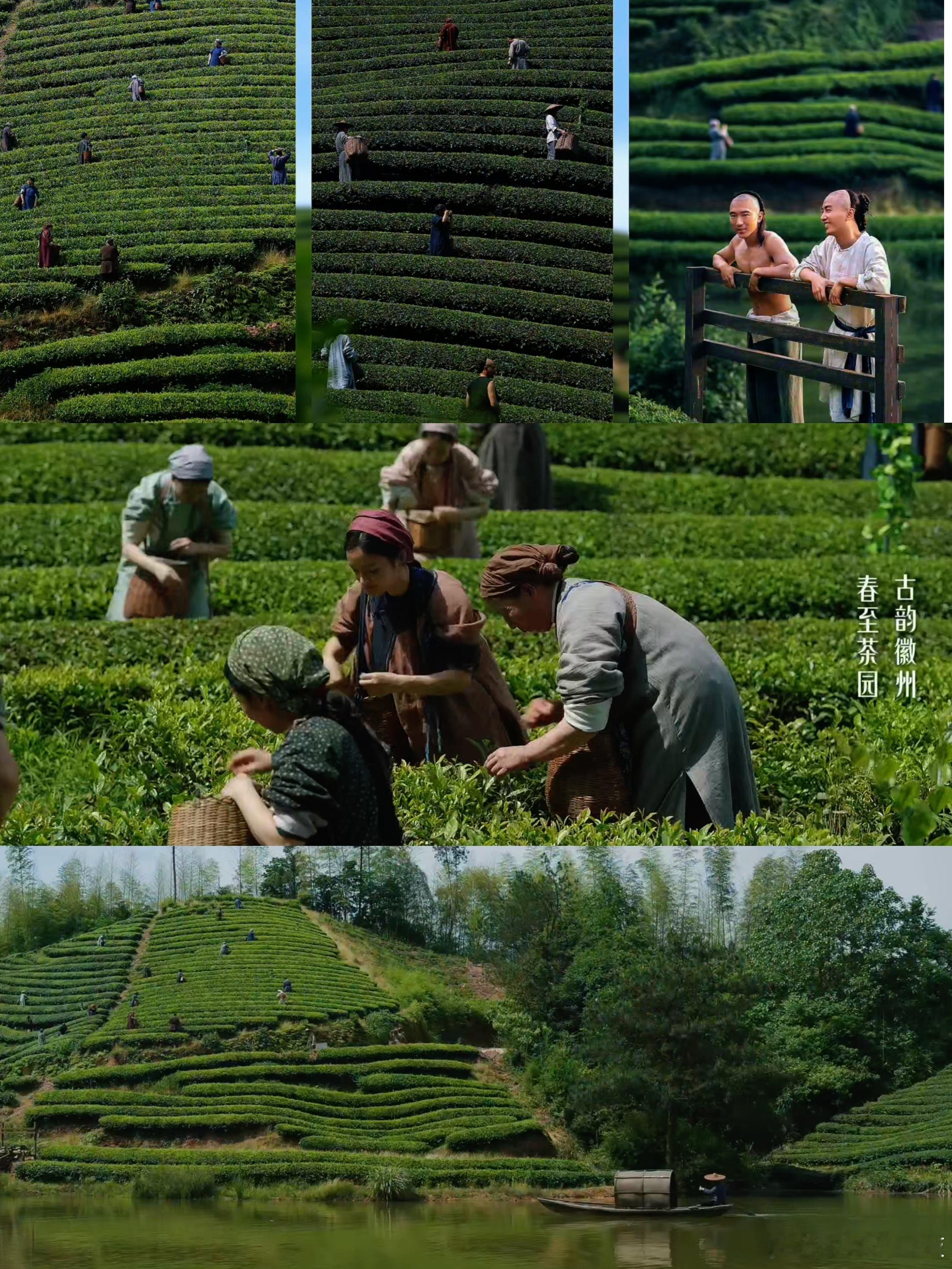 这就是全实景拍摄的魅力吗？无论千里旷野的东北还是茶山遍布的安徽黄山，每一处的色彩