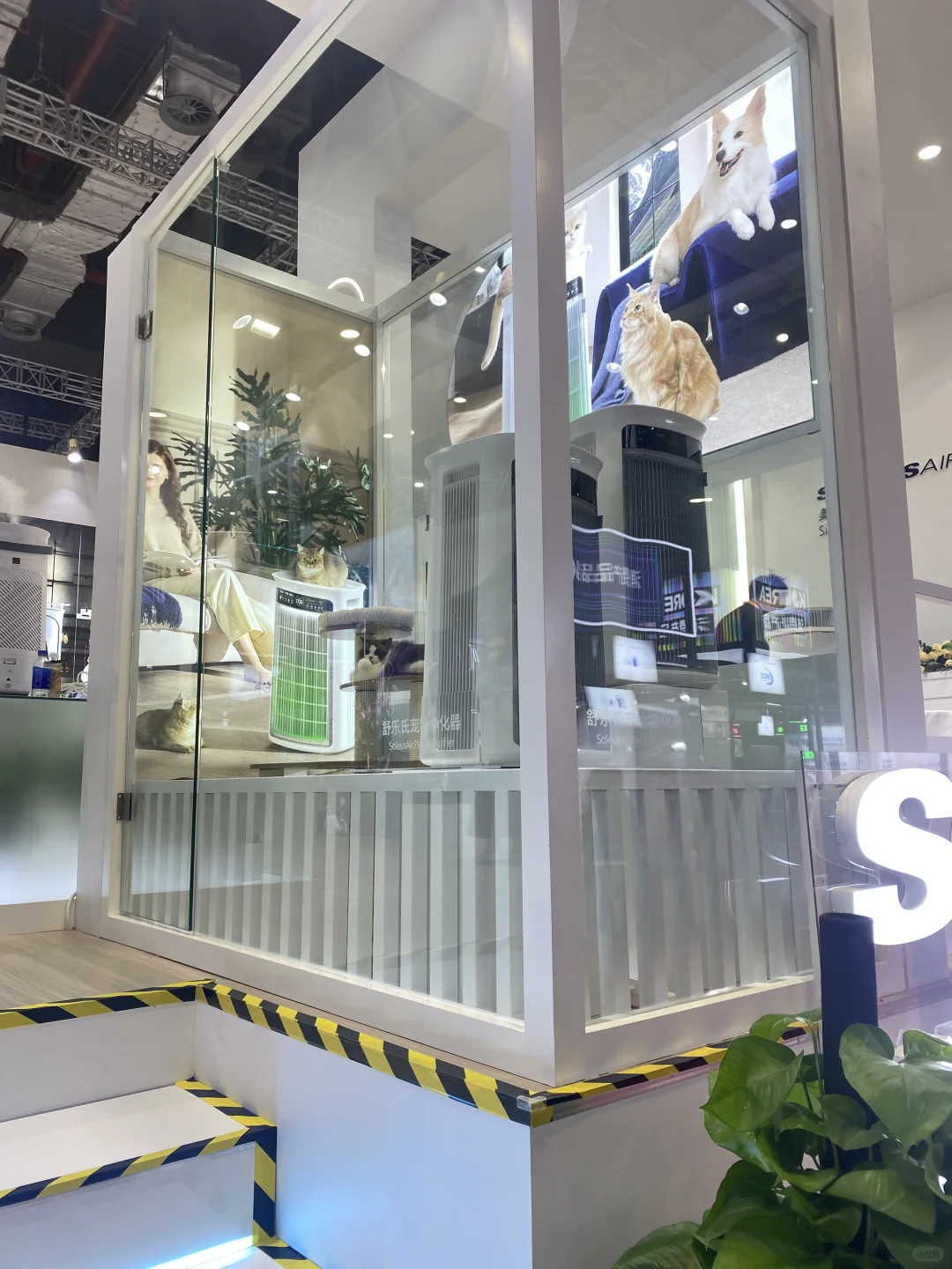 舒乐氏参加进博会啦?还出了新品宠物空净