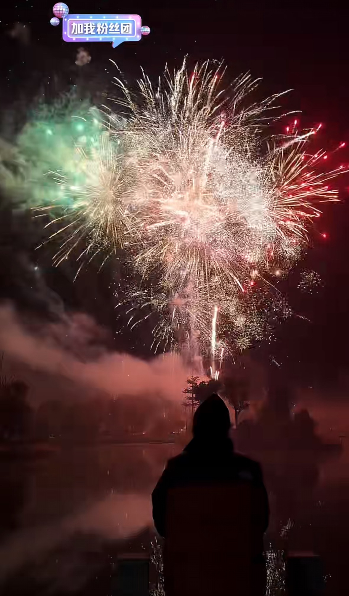 桃黑黑太真诚了，为粉丝放的定制烟花秀，去年今天正式开始成为主播，把这天定为蛋蛋军
