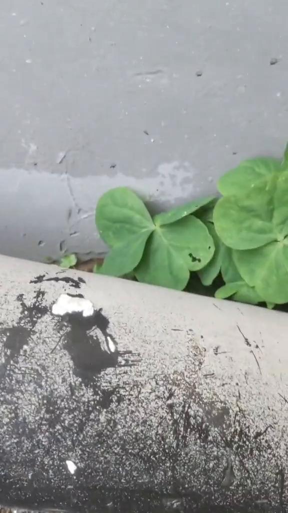 这个墙角深了一点黄的。