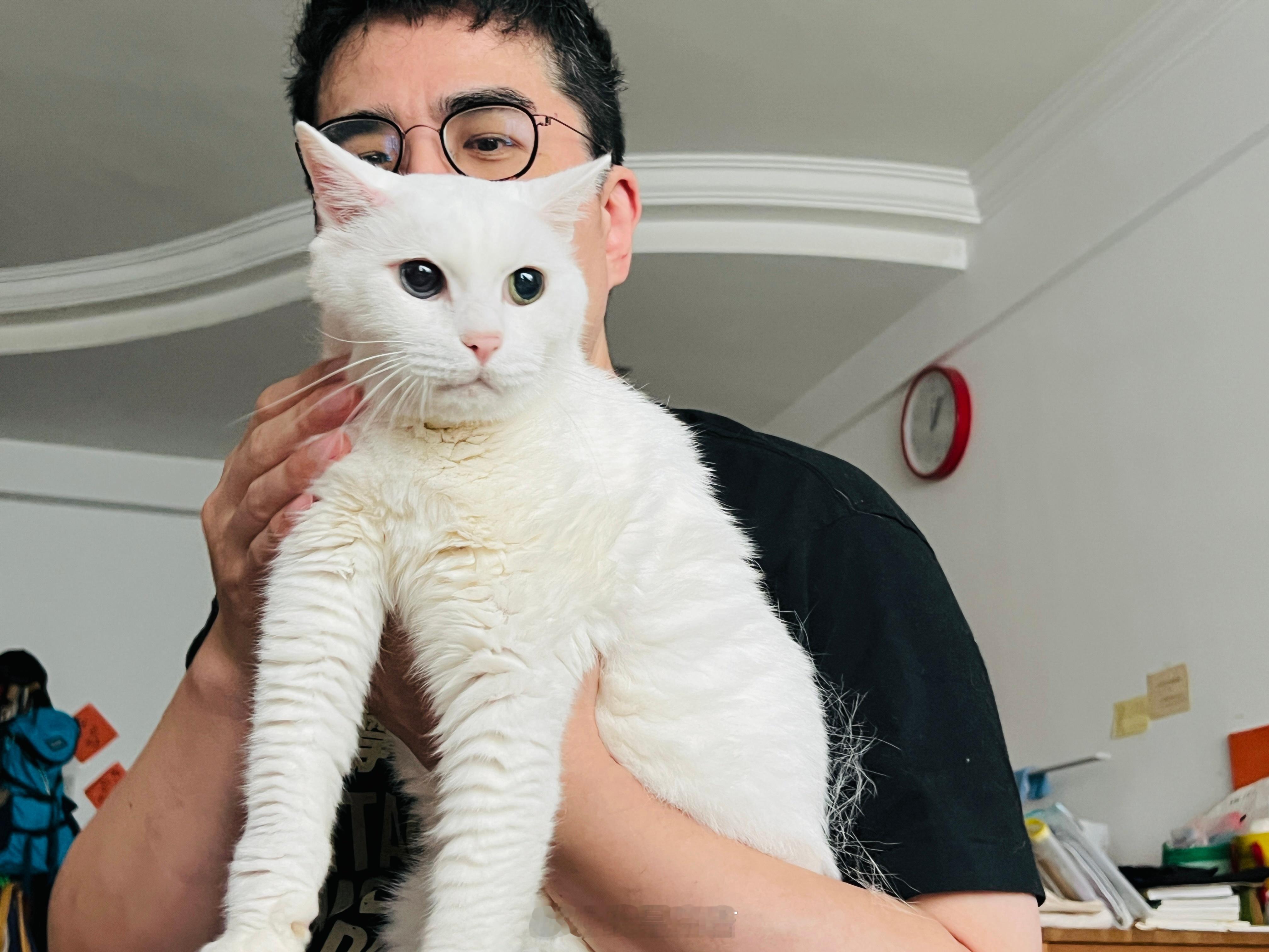 吉吉在吉爸身上下了毛毛雨🌧️ ​​​