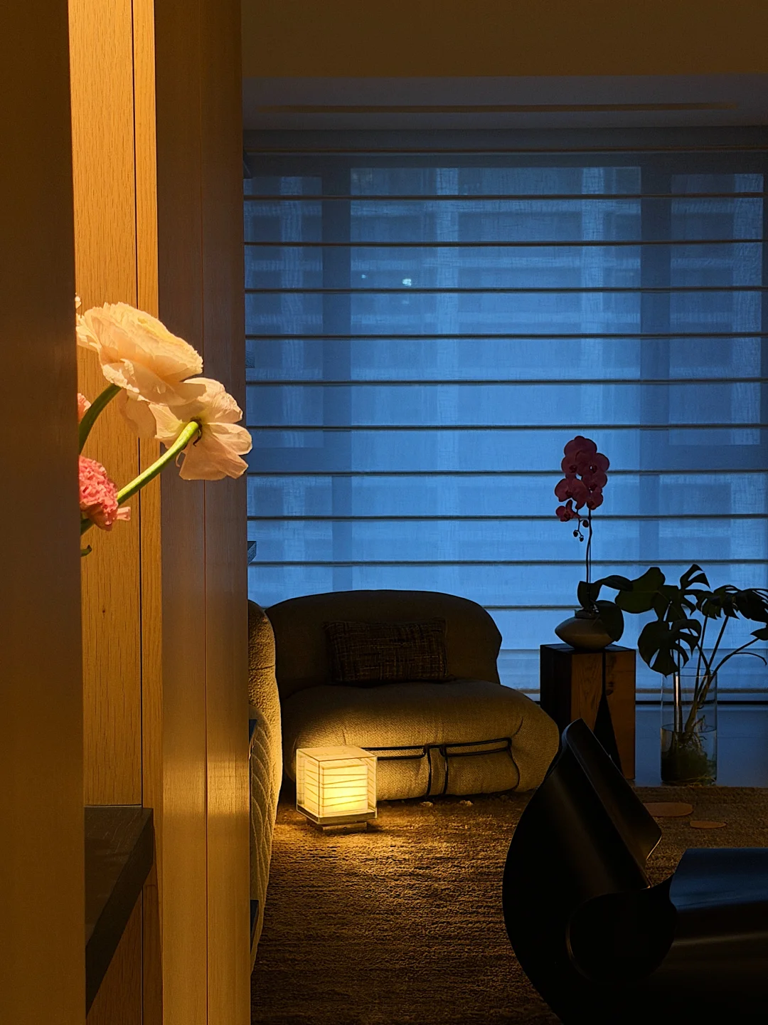 夜蓝色，属于我的宅家入夜仪式感🌃