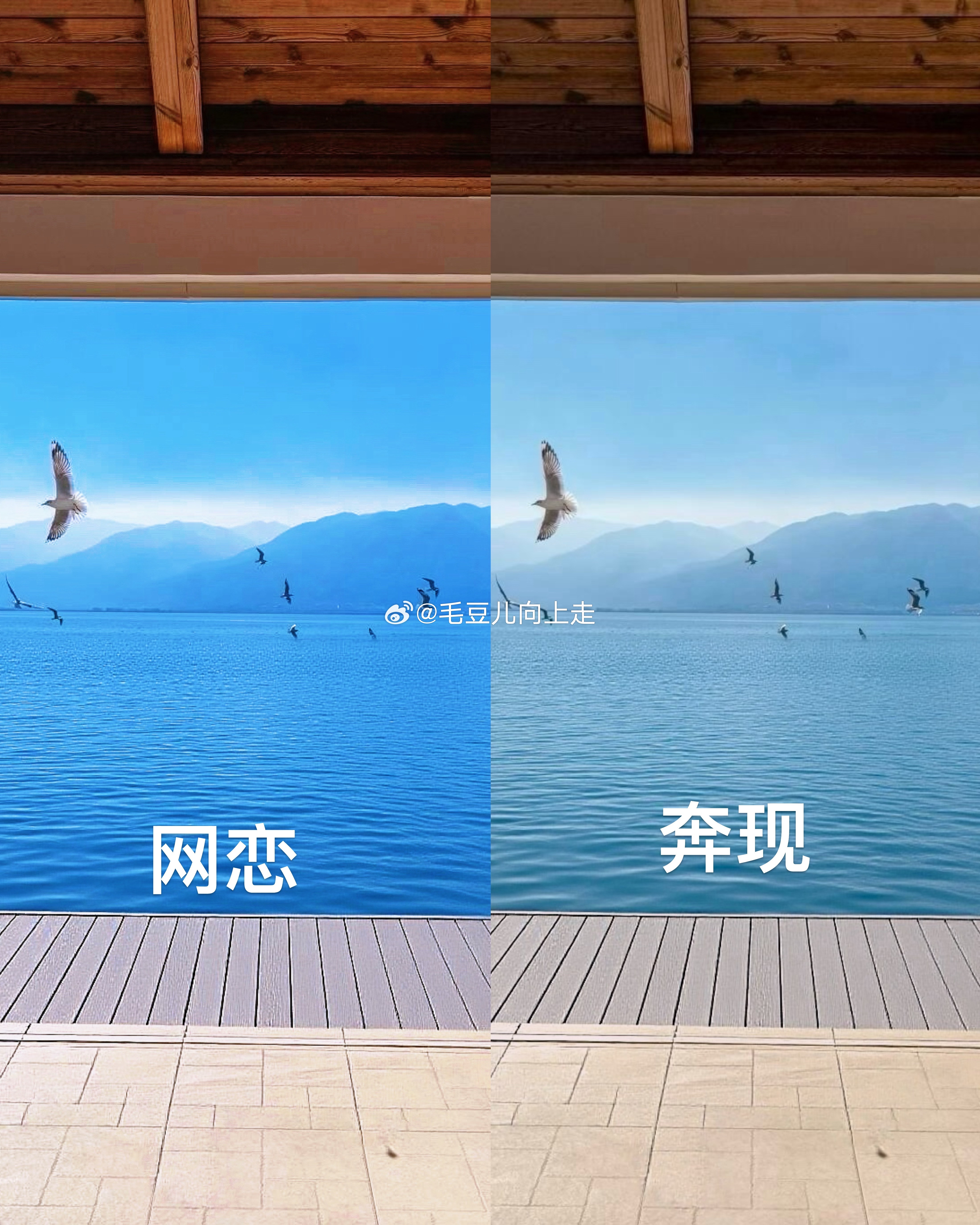 我不p怎么向朋友圈交代 