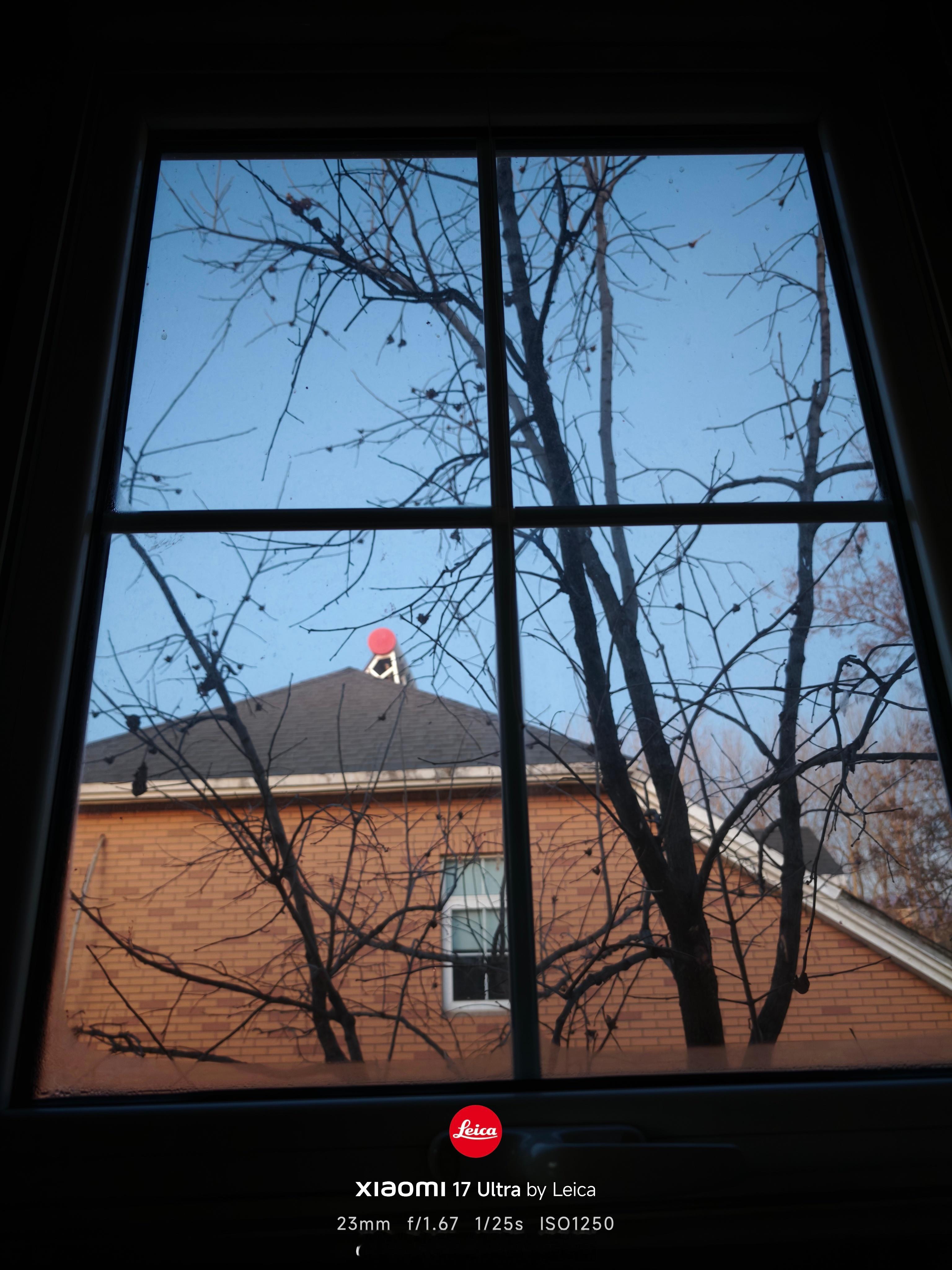 早上好，2025年的最后一天，终于亮了！12月31号我就这样下楼