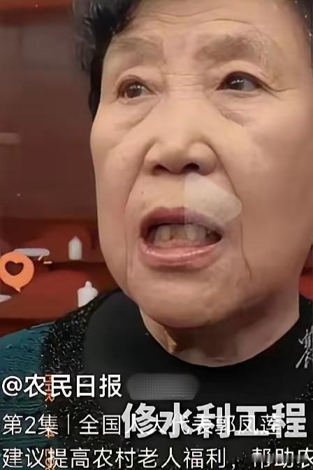 八十岁的农民代表郭凤莲，就因为在两会上说农民养老金太低，被一群连 "议案" 和 