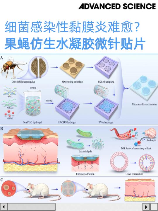 🪰仅靠一只苍蝇，发表一篇1区文章！