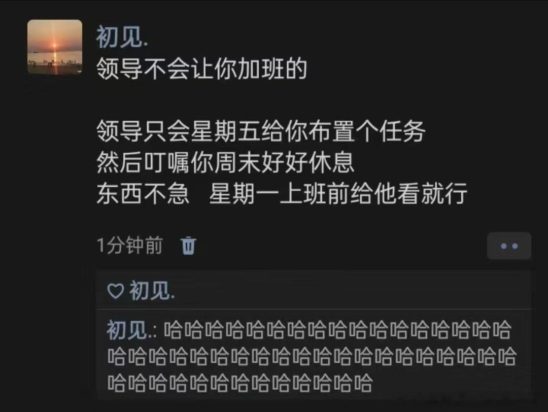 《领导不会让你加班的》 ​​​