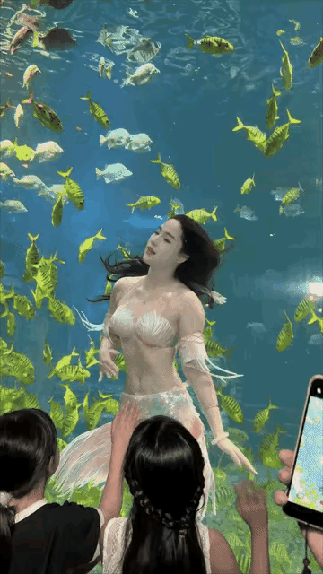 周末带娃去看美人鱼，娃可开心了