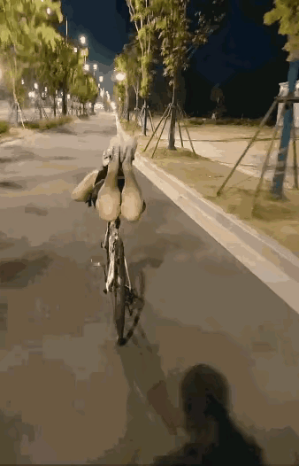 这种锻炼方法第一次看到，这一定得有基本功，不能盲目的模仿，毕竟还是有危险。