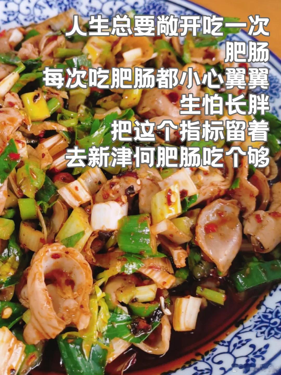 成都美食推荐·新津·何肥肠自从花园镇通了地铁，这个肥肠就被大家知道了，可以说是新