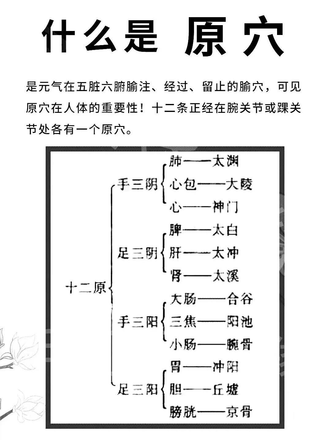 什么是原穴？是元气在五脏六腑偷注、经过、留止的偷穴，可见原穴在人体的重要性！十二