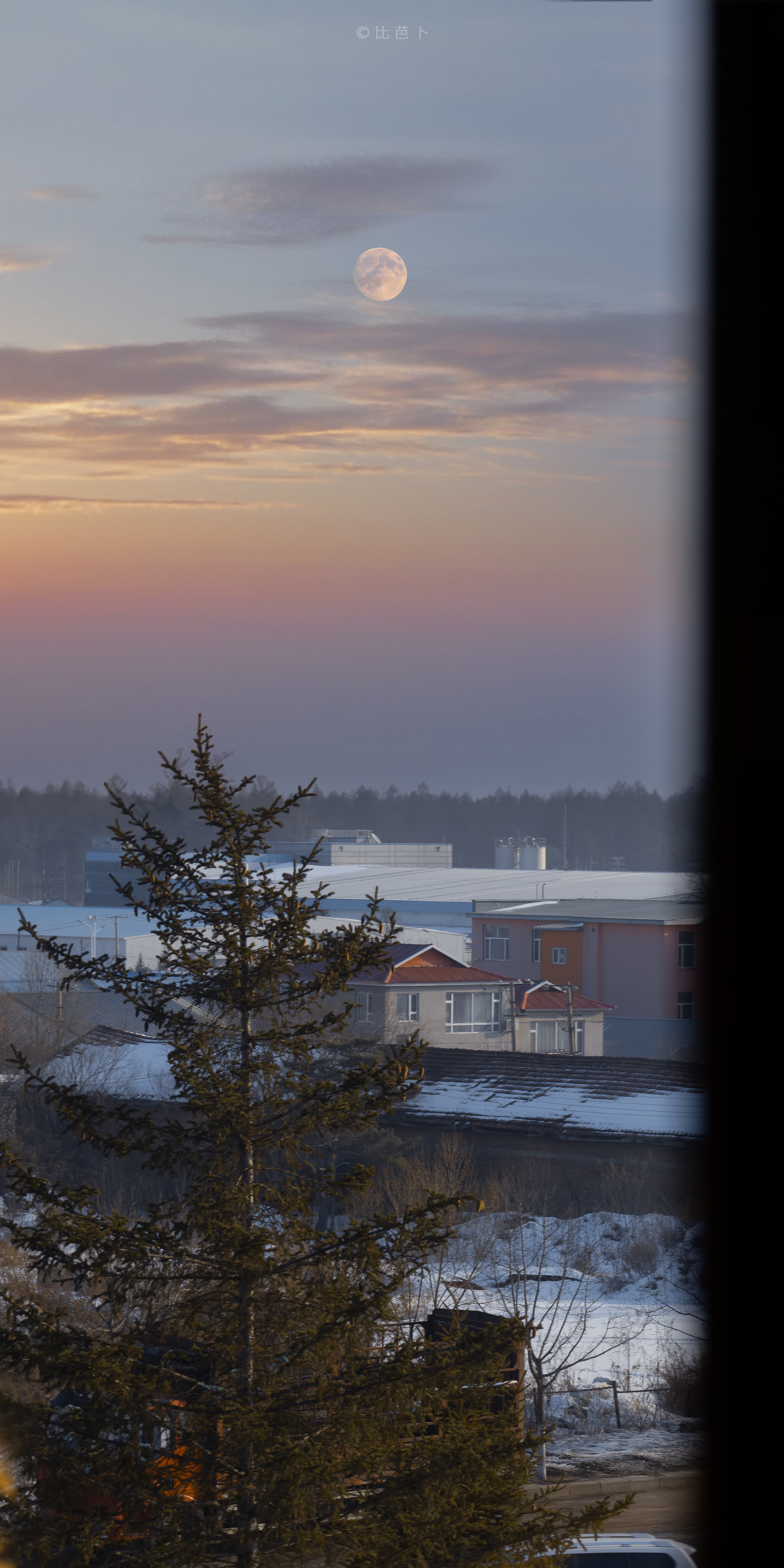 总不能因为这世上有人跟你“道不同”你就不好好走自己的路。丨秋微 