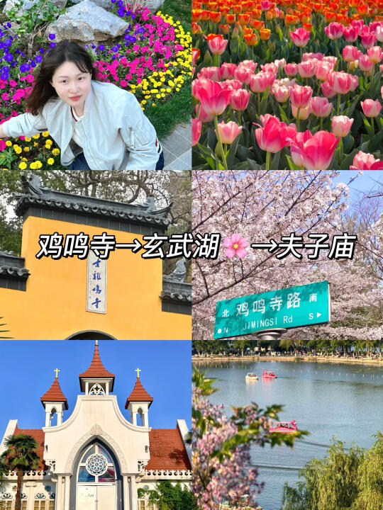 春天来南京，请收下这份赏花慢游citywalk
