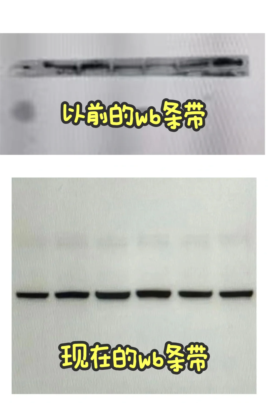 🔥WB实验原理，你真的搞懂了吗？