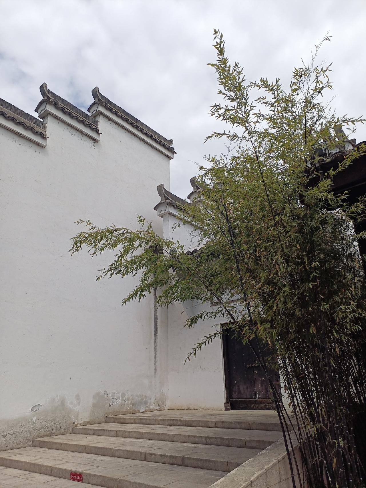 真是老了，
   走路不自然的背着手了。
   真是老了，
   说着说着忘了自