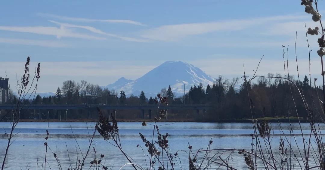 UW的宝藏湿地
隐藏在UW的宝藏湿地 非常安静 适合一个人发呆
或者徒步
能看到