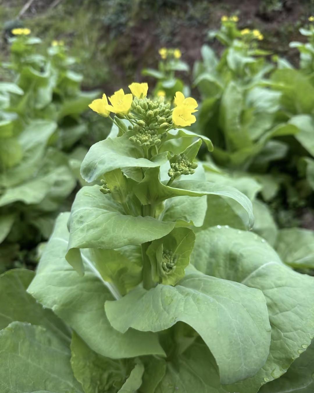 我今年53岁，不是生病，但天天像在打仗。白天发火自己都吓一跳，晚上躺下就热得冒汗