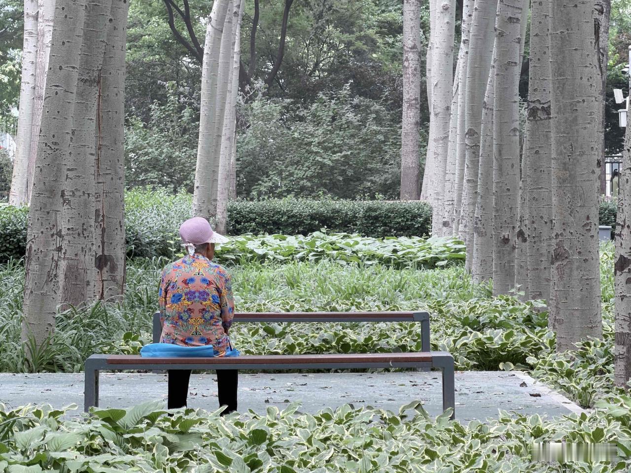 60岁以后的生活智慧：规律生活，稳住情绪，吃好三餐

友友们，我们到了60岁以后
