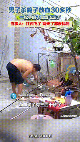 “万物皆有灵！”河南开封，一男子亲自宰杀了家养的鸽子，可放血三四十秒后，鸽子居然