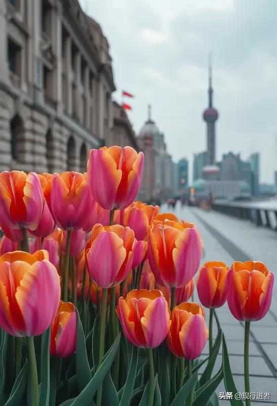 3月2日，上海迎来特殊的新学期。182万中小学生踏入校园时，正逢春雨淅沥，4万余