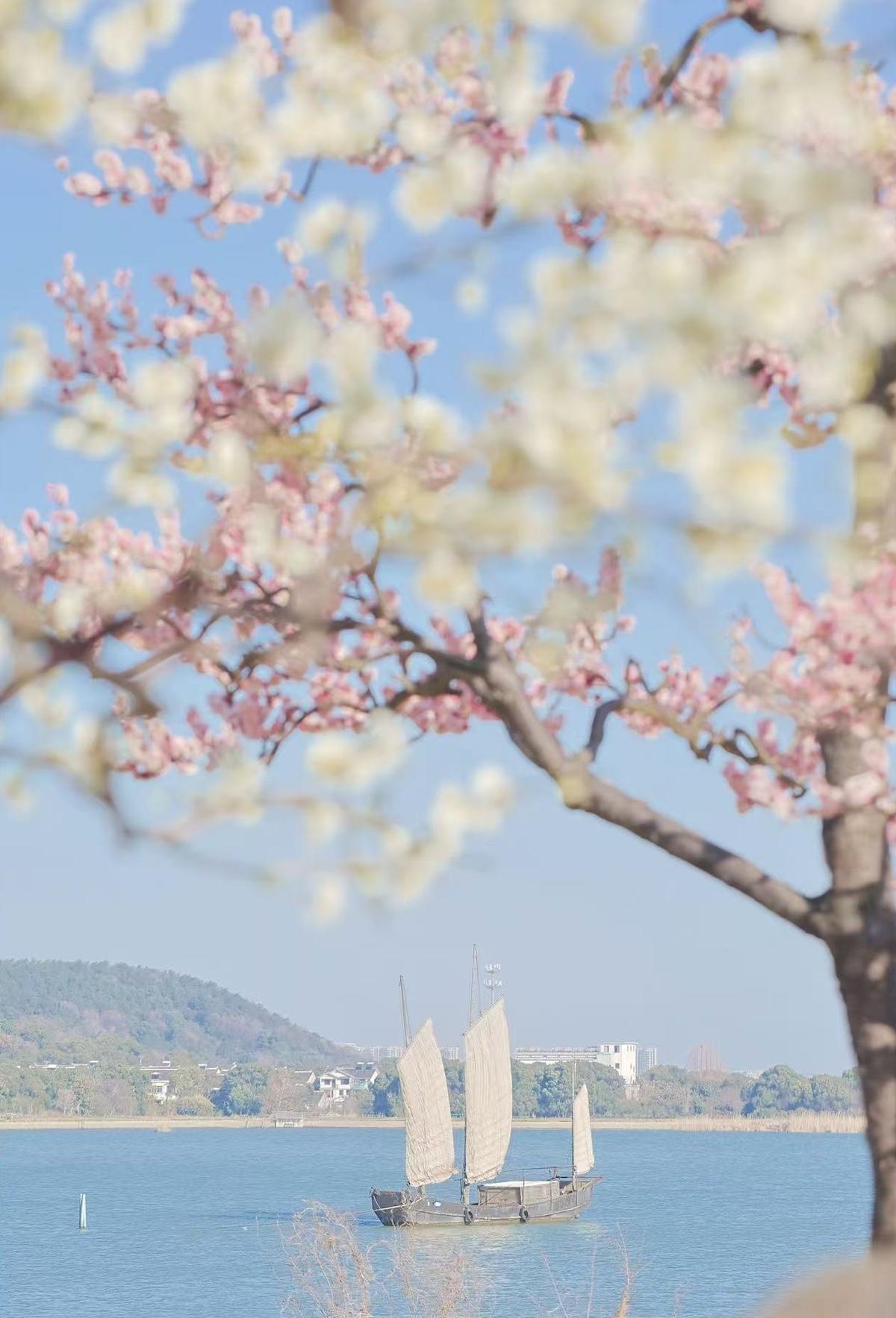 春天最温柔，风景很上头。
人间多美好，哪里有忧愁？