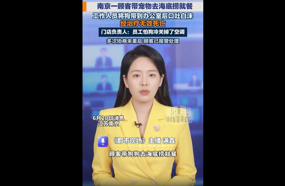 最近南京海底捞这档子事，网上吵得沸沸扬扬。
本来是开开心心吃顿火锅，最后闹得宠物