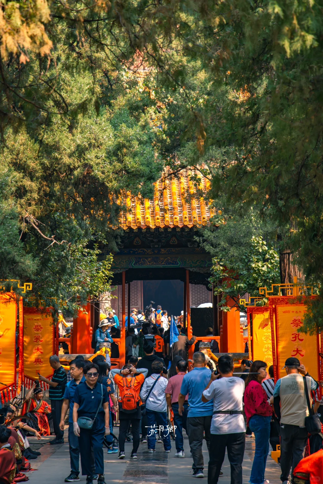 去山东一定要看的古建‼️梁思成称它是孤列