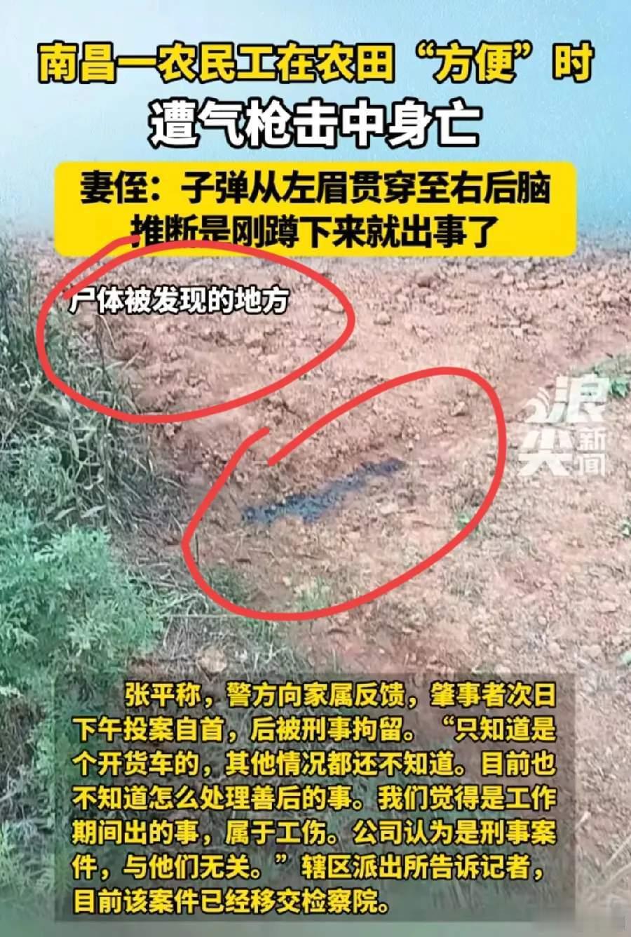 工人农田上厕所时被枪击身亡我国枪支管理的那么严，为什么一个货车司机会有这玩意？为