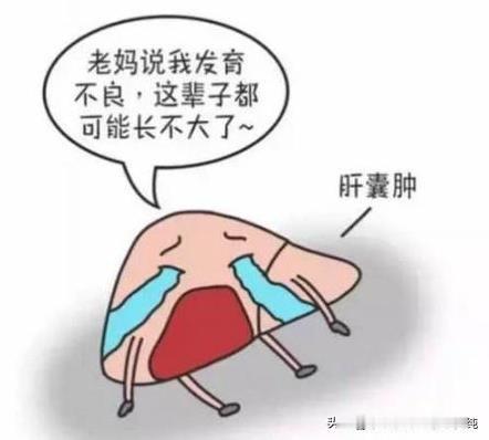 肝囊肿，是肝脏郁堵了？中医教你如何调理！
大家好，我是中医刘博纯！
今天我跟大家