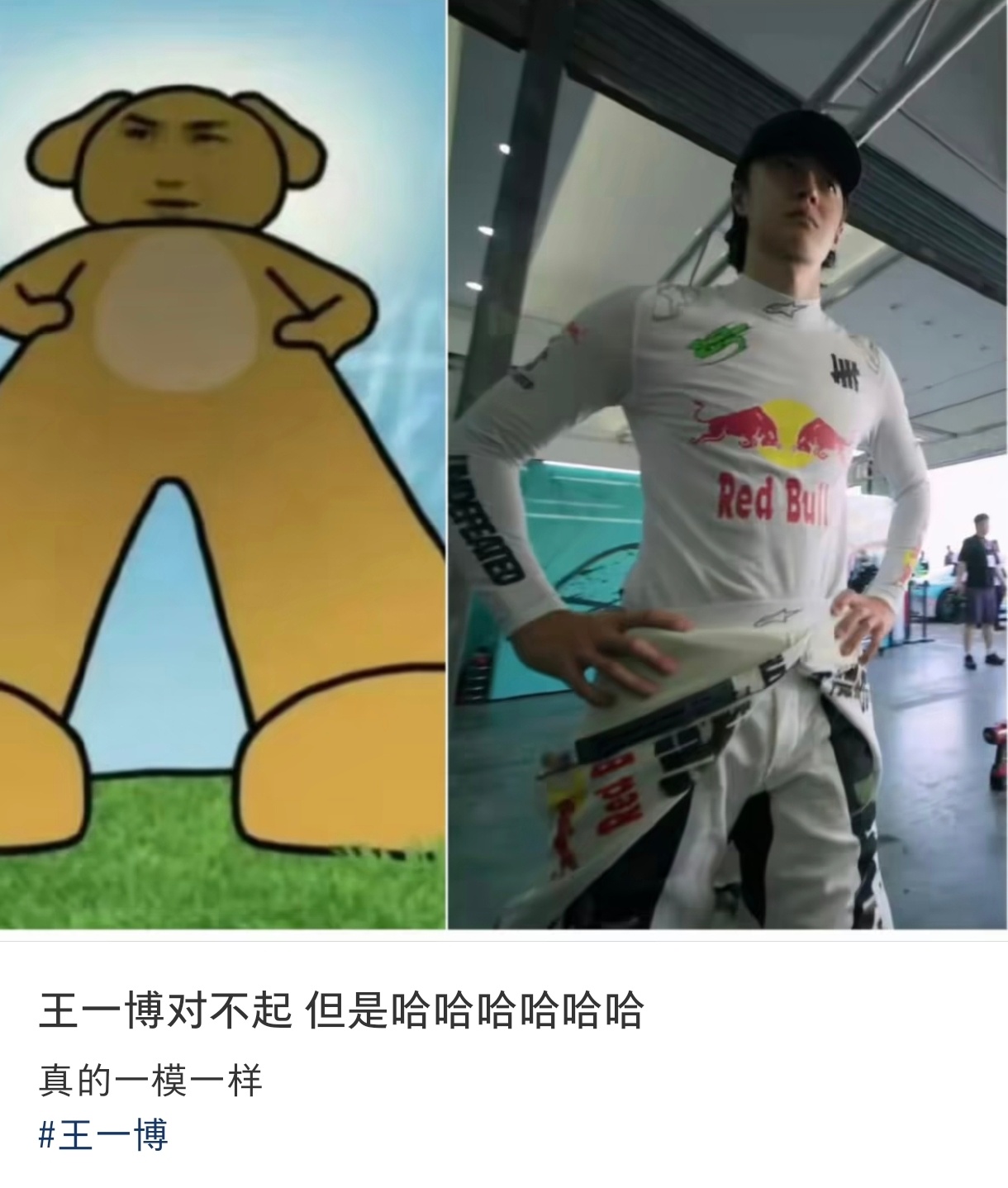 哈哈哈哈哈 