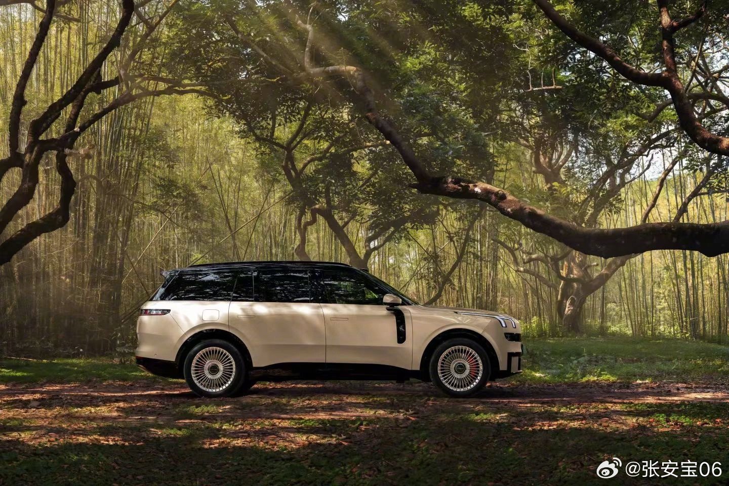 领克900大五座万物皆可装5座应该就可以满足一般家庭最常见的出行场景了，还能给后