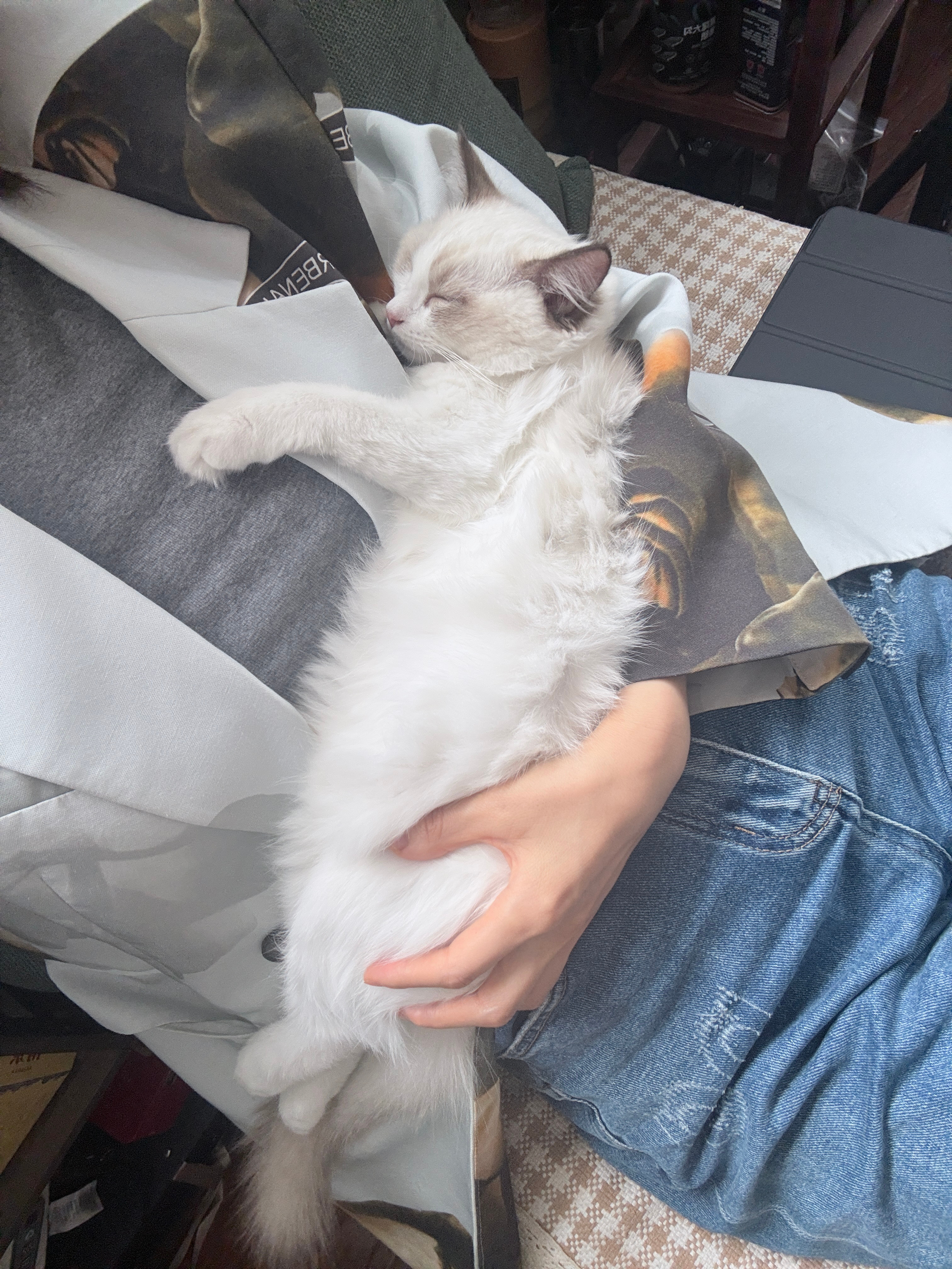 可可爱爱的小端午[送花花] ​​​