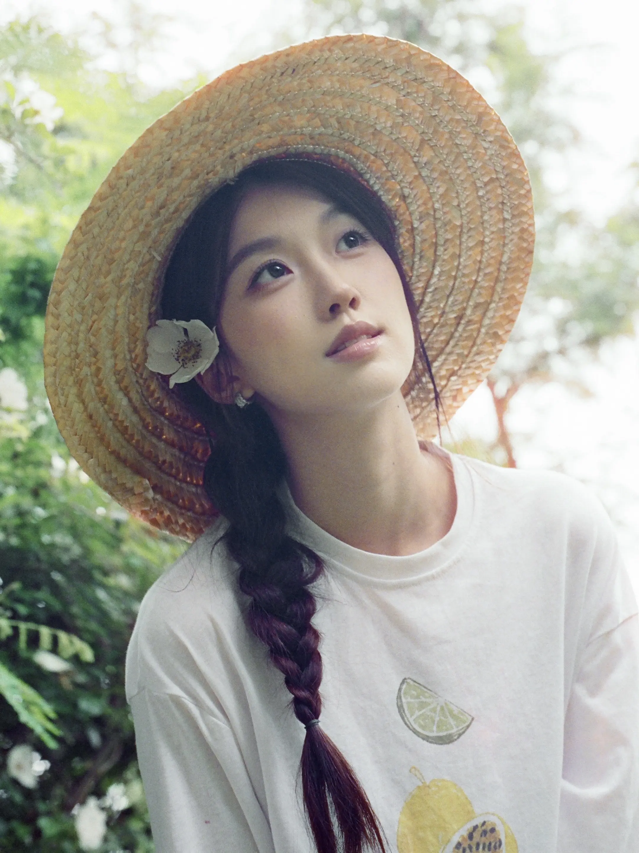 我的长夏 永不凋零