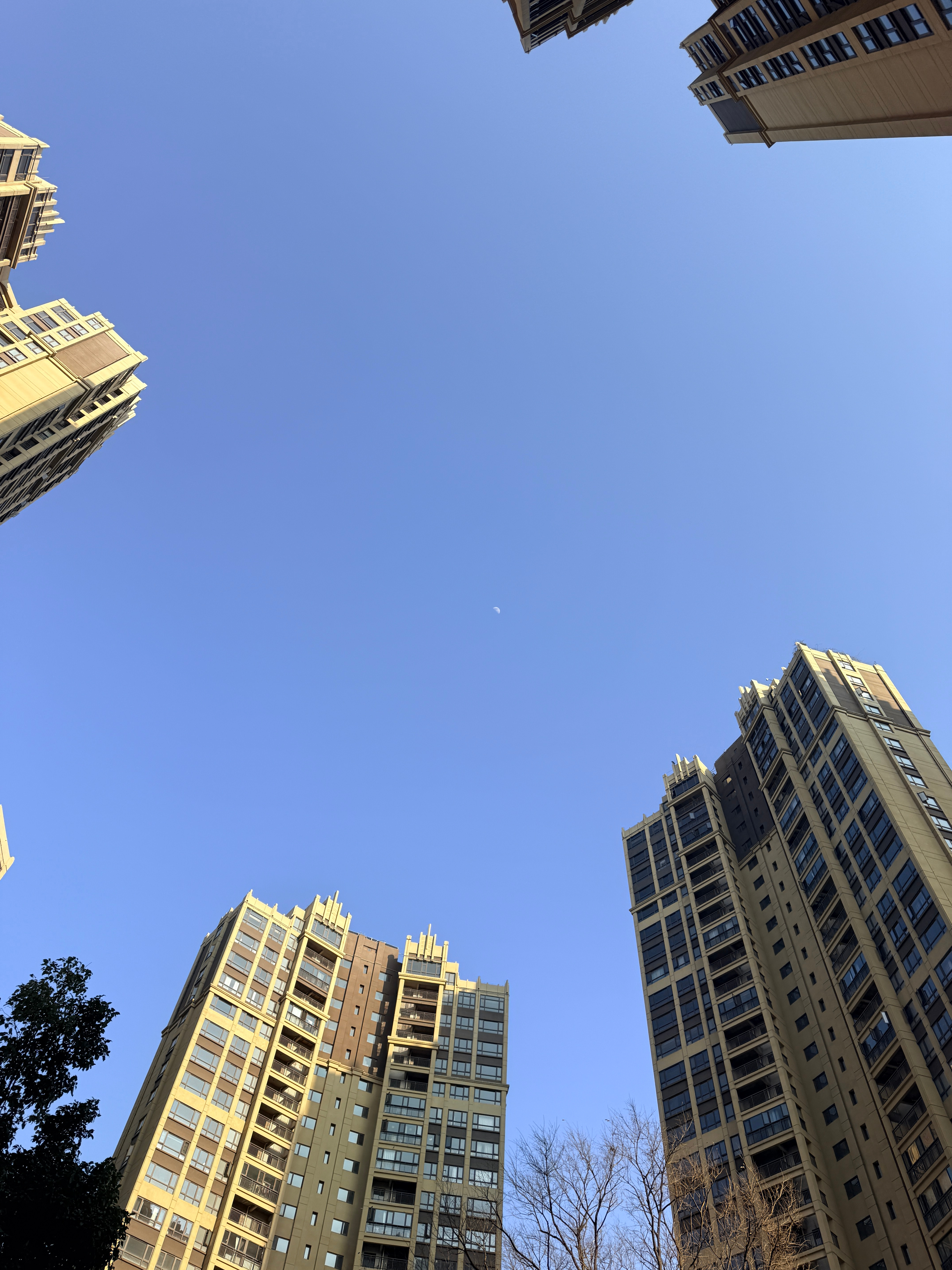 好蓝的天，冬天来云南真不会太冷