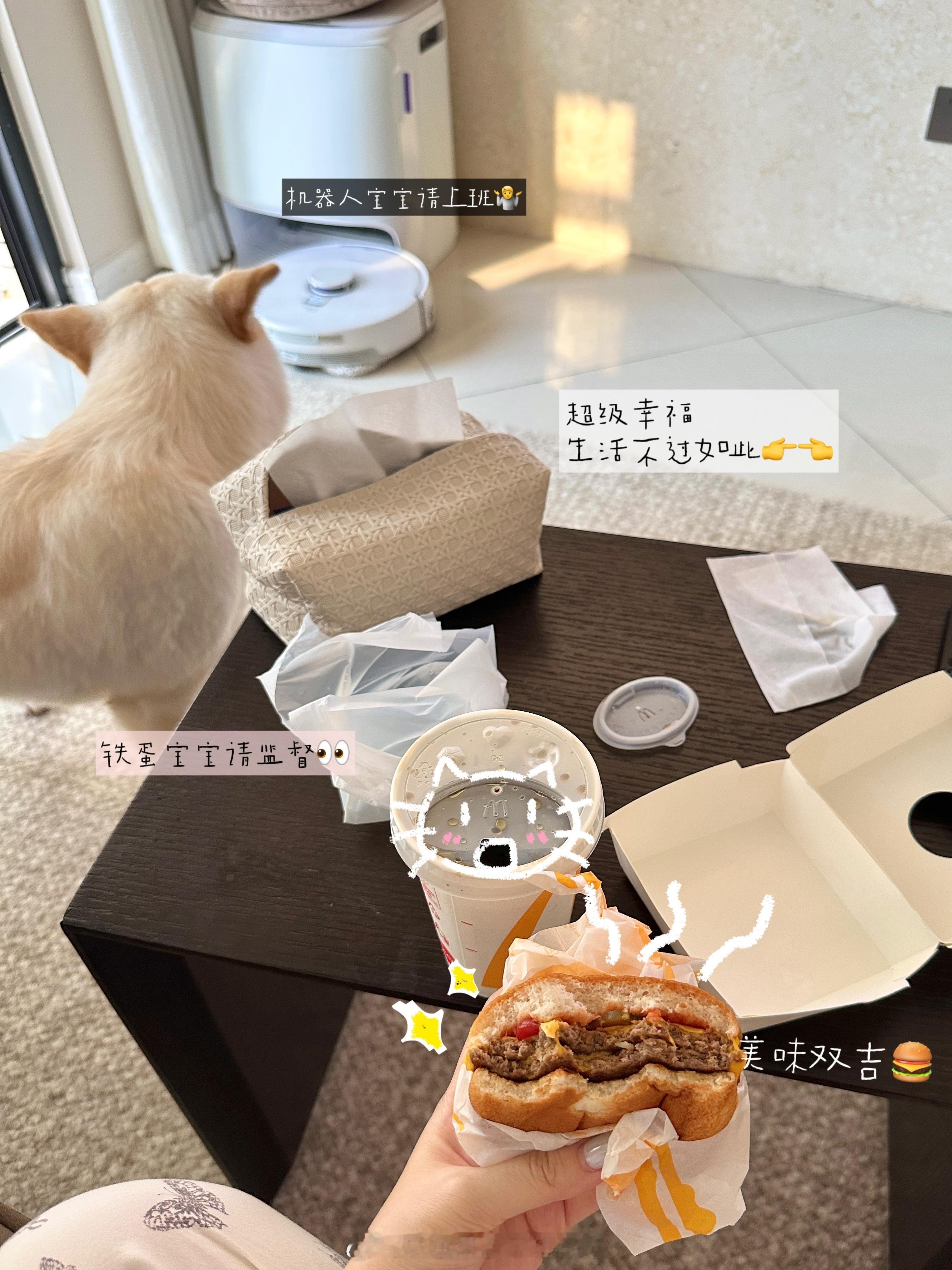 普通幸福小生活🍰•ᴗ•🥄‧₊˚☆ ​​​