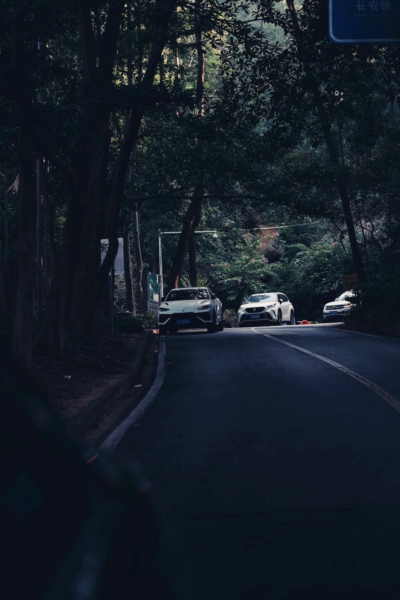 兰博基尼 兰博基尼urus 跑山 森林之子 内燃机的魅力