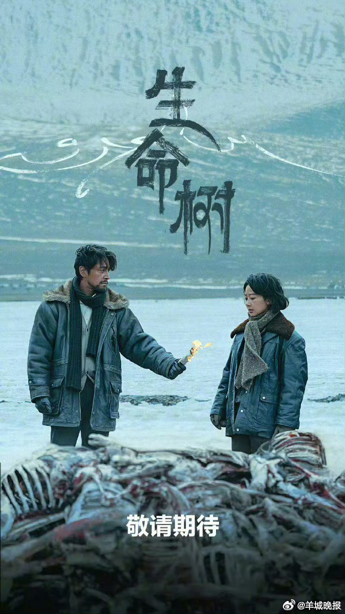 【热播剧排行榜实时更新中，你在追哪一部？】据猫眼专业版数据，截至今日8:30，电