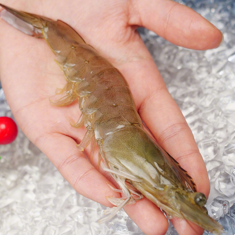 平时想吃海鲜又怕麻烦的朋友们，这款厄瓜多尔海洋大虾简直是宝藏！它是高蛋白低脂肪的