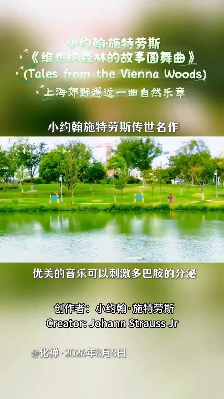 小约翰·施特劳斯《维也纳森林的故事圆舞曲》。
化禅·2026年8月8日。
小约翰