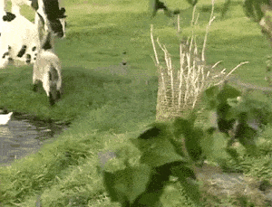 武林高手之二段踢