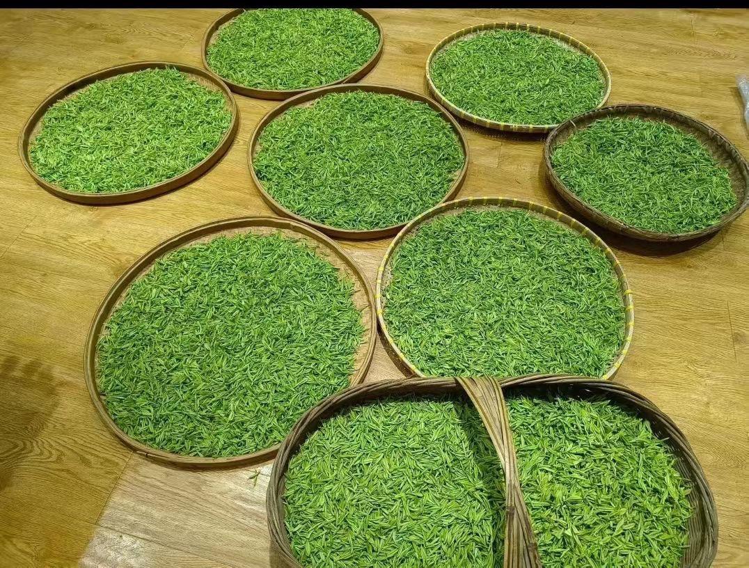 七律·福建安溪
  铁观音茶文化

安溪碧水润台阳，
冻顶乌龙共月香。
一叶沉浮