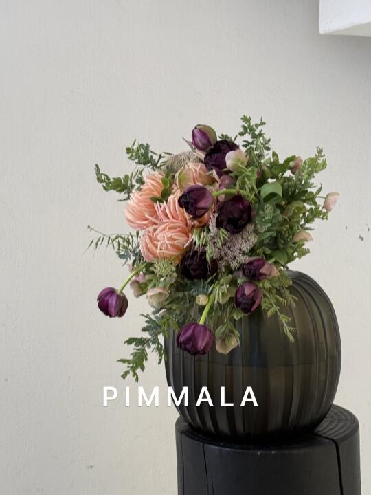 PIMMALA｜法国郁金香跳着黑天鹅