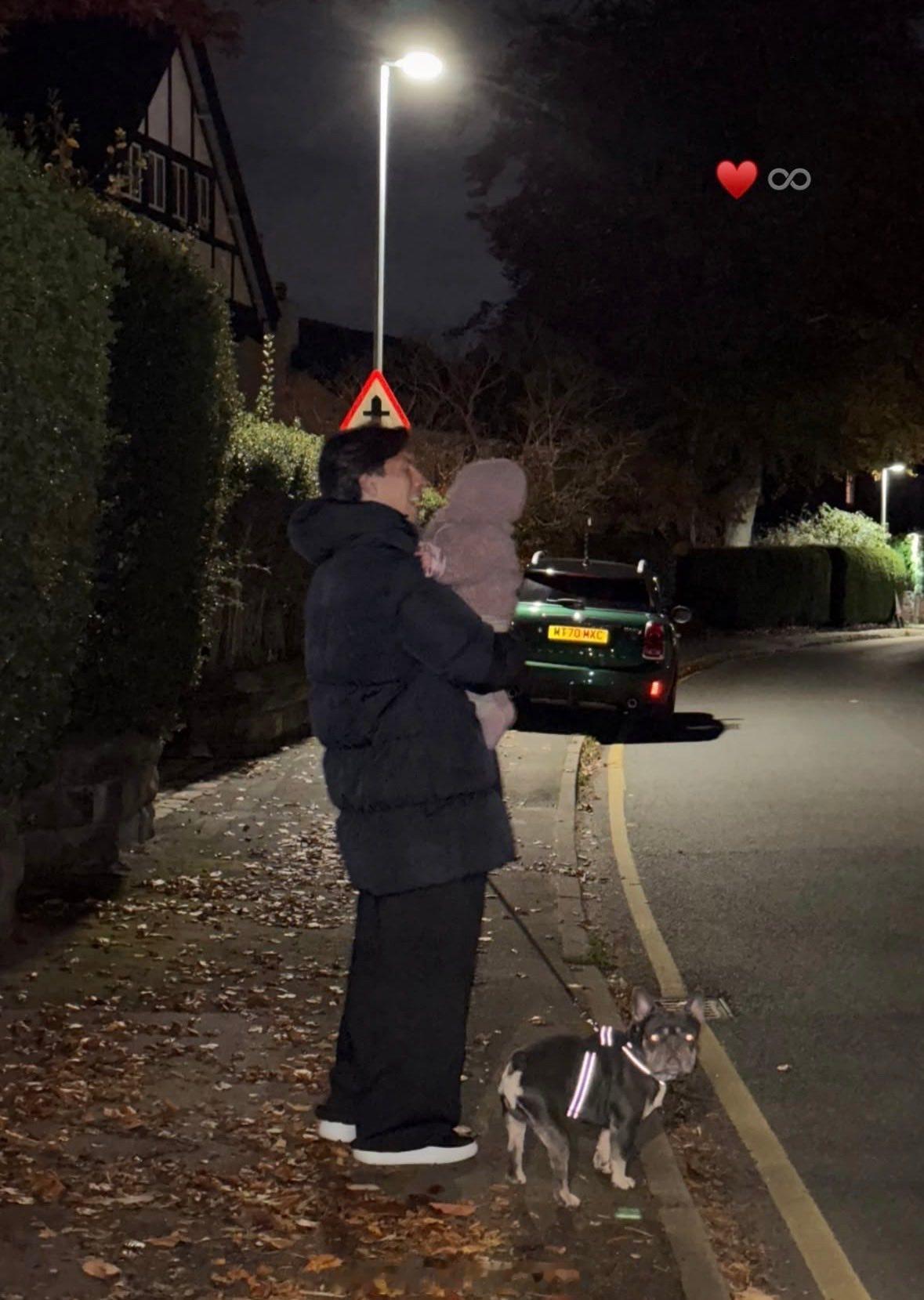 利马也逃不过遛狗的任务[喵喵]沙皮狗？斗牛犬？ ​​​